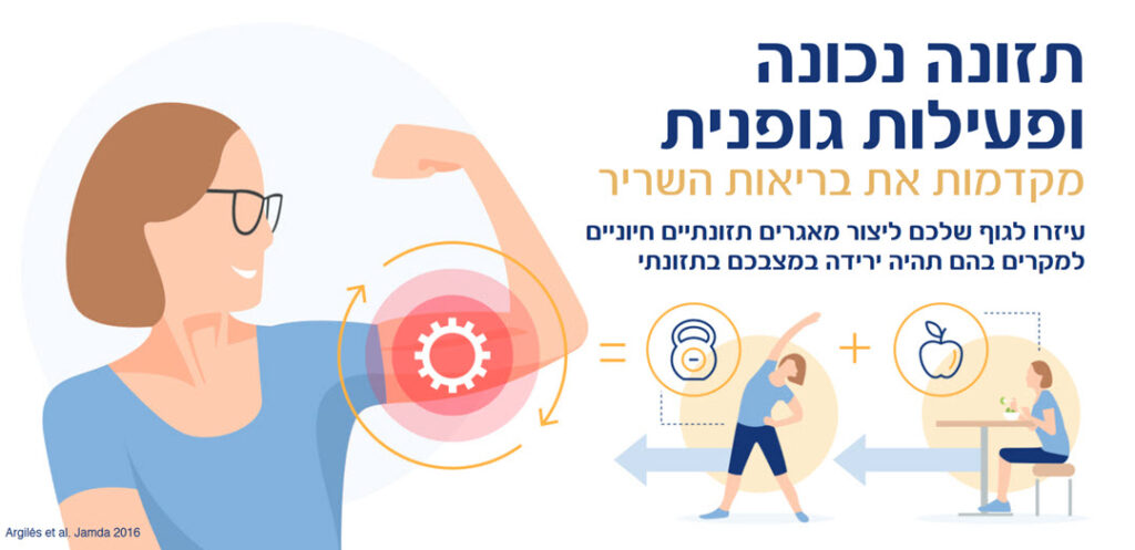 אובדן מסת שריר - אינפוגראפיקה